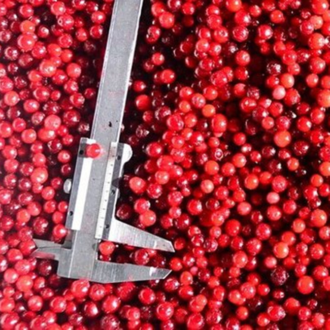 frozen lingonberry