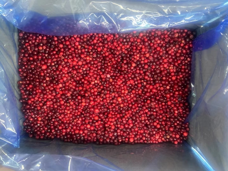 frozen lingonberry