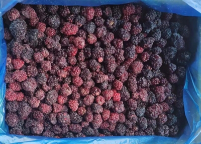 frozen blackberry